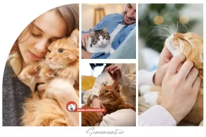 حکم نگهداری گربه در خانه از نظر اهل سنت