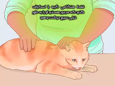 اسکراف گربه در مواقع اضطراری