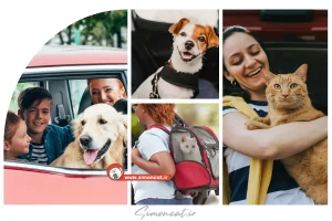 سفر با حیوانات خانگی