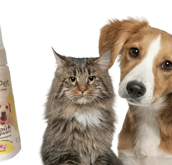 شامپو فومی مخصوص سگ و گربه