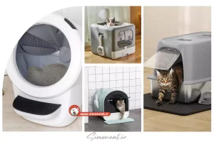 ظرف خاک مسافرتی گربه چیست؟