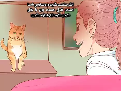 نزدیک شدن به گربه های غریبه