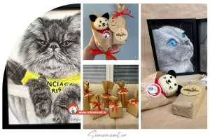 عیدی سال نو به مشتریان vip سایمون کت