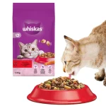 غذای خشک گربه مغزدار ویسکاس طعم گوشت