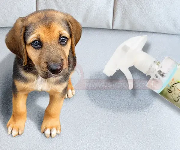 محلول تمیز کننده ترشحات بدن (ادرار و مدفوع) حیوانات خانگی