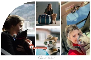 مسافرت با گربه