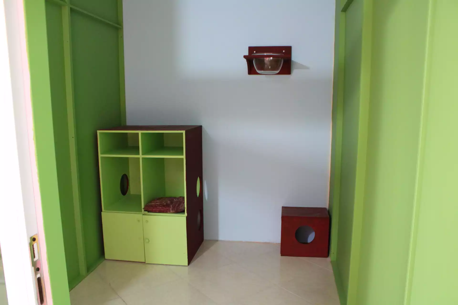 پانسیون گربه سردار جنگل