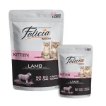 پوچ بچه گربه فلیسیا بره