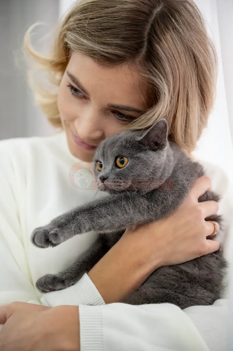 گربه ها محبوب ترین حیوانات خانگی