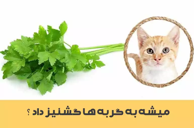 گشنیز برای گربه خوبه؟
