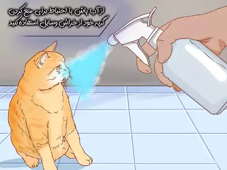 آب پاشیدن به گربه و دور کردن آن از وسایل منزل