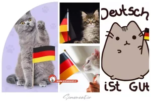 اسم آلمانی برای گربه