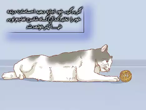 بازی کردن گربه