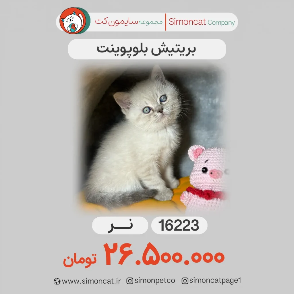 بریتیش بلوپوینت