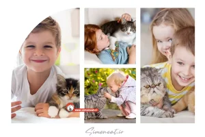 بهترین نژاد گربه برای کودکان