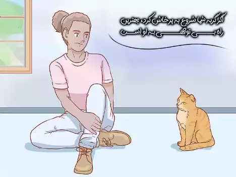 بی توجهی به گربه پرخاشگر
