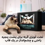 جای خواب پشت پنجره ای گربه