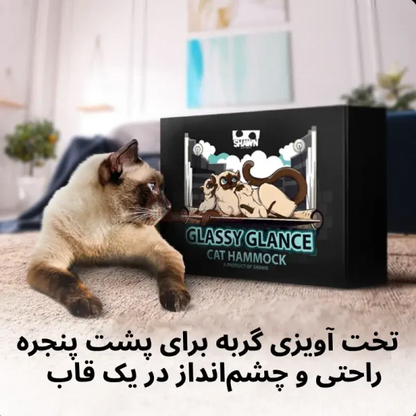 جای خواب پشت پنجره ای گربه