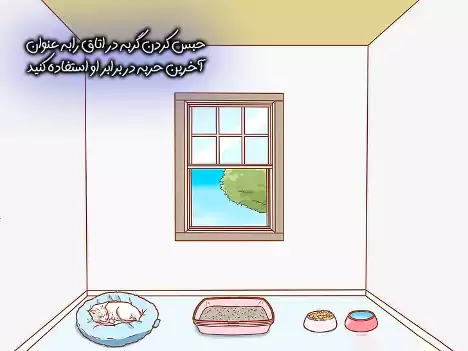 حبس کردن گربه در اتاق