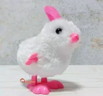 خرگوش کوکی سفید