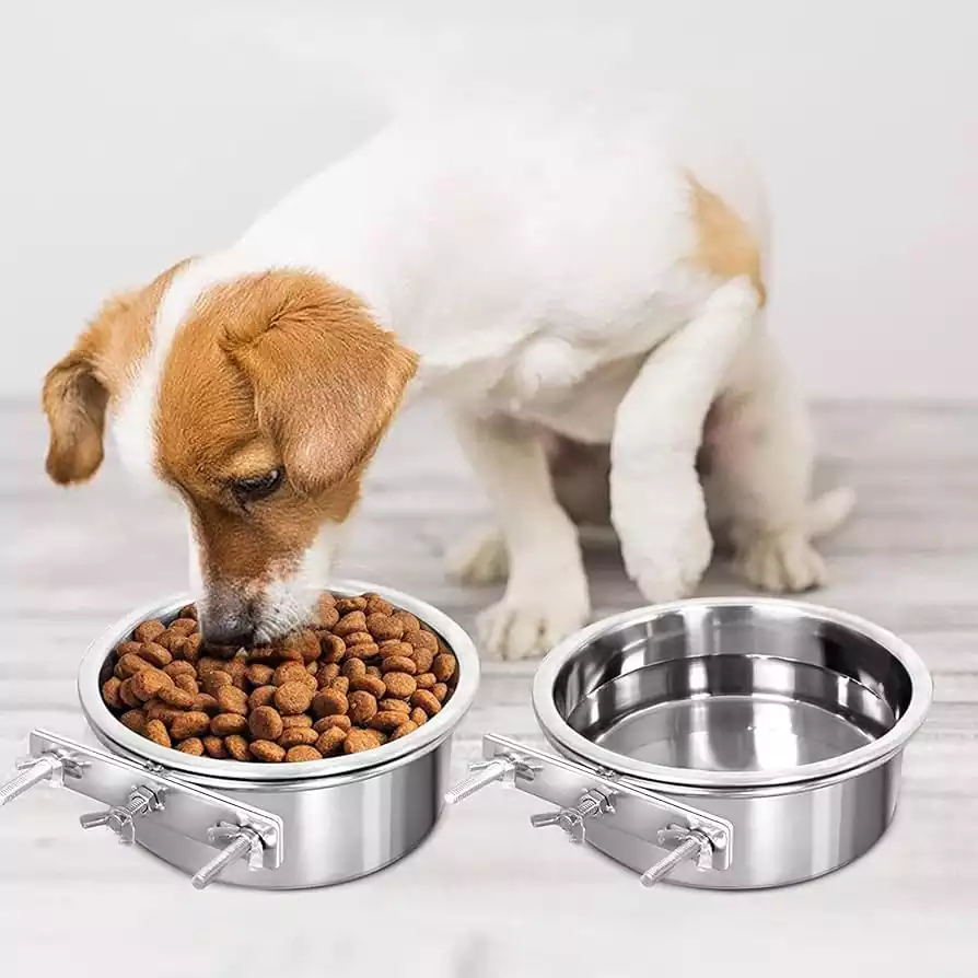 ظرف استیل غذا و آب سگ