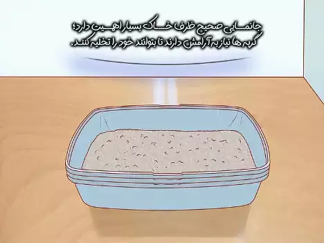 ظرف خاک گربه