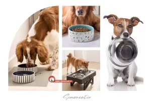 عکس ظرف غذای سگ