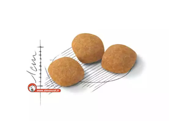 غذا خشک رویال کنین