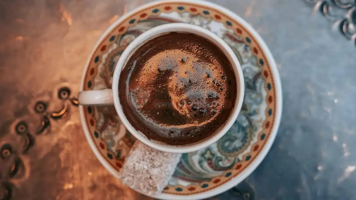 فال قهوه گربه