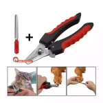 ناخن گیر انبری