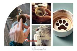 پنجه گربه در فال قهوه