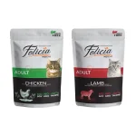 پوچ گربه بالغ فلیسیا با 2 طعم لذیذ