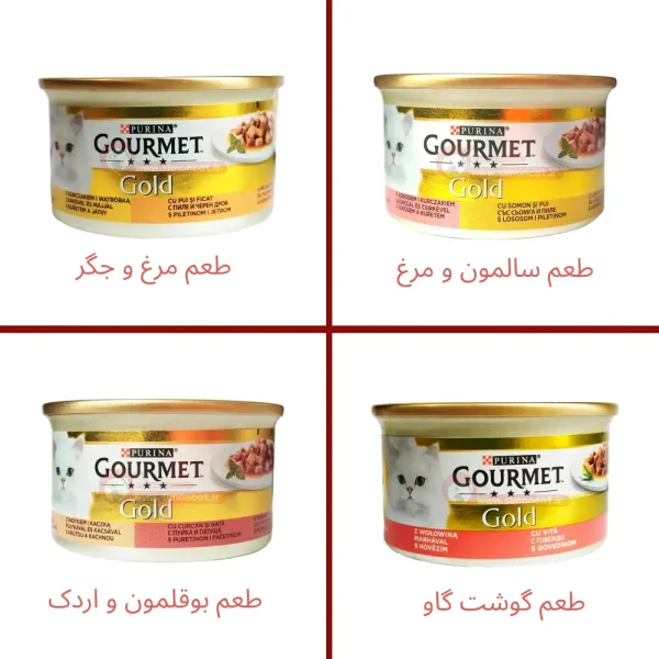 کنسرو گربه گلد گورمت گوشت تکه ای در سس با 4 طعم