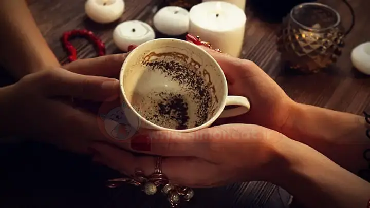 گربه در فال قهوه