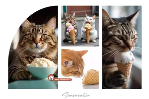 آیا بستنی برای گربه مضر است؟