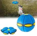 اسباب بازی دوکاره تعاملی سگ