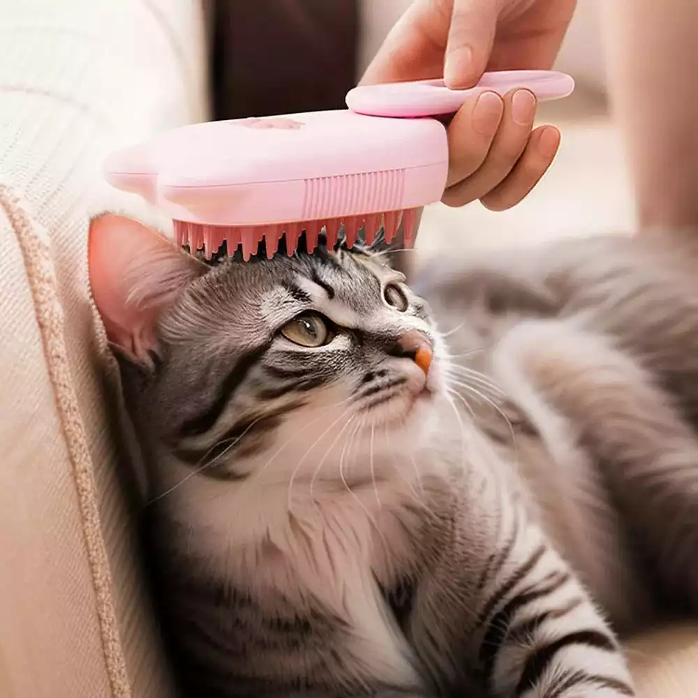 برس موی گربه