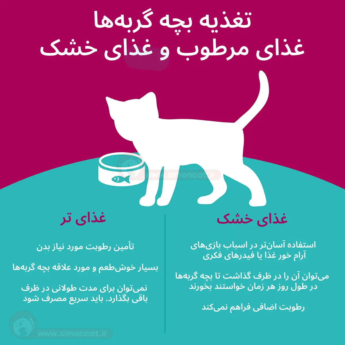 به بچه گربه چه غذایی بدهیم؟