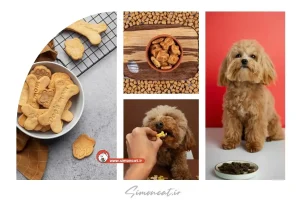 تشویقی سگ خانگی