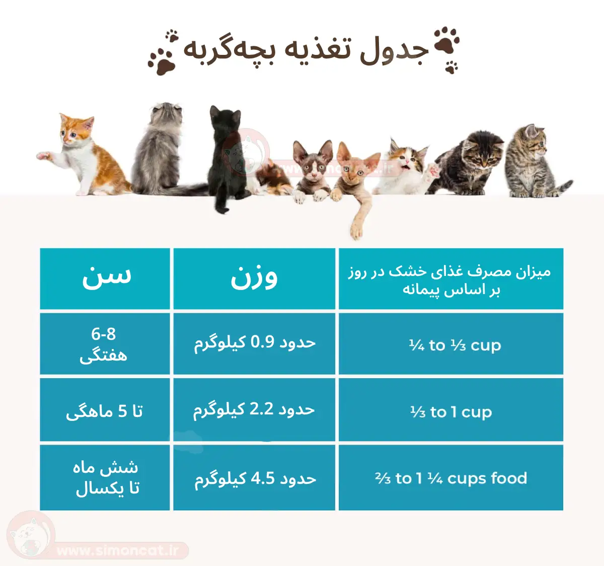 جدول تغذیه غذای خشک برای بچه گربه