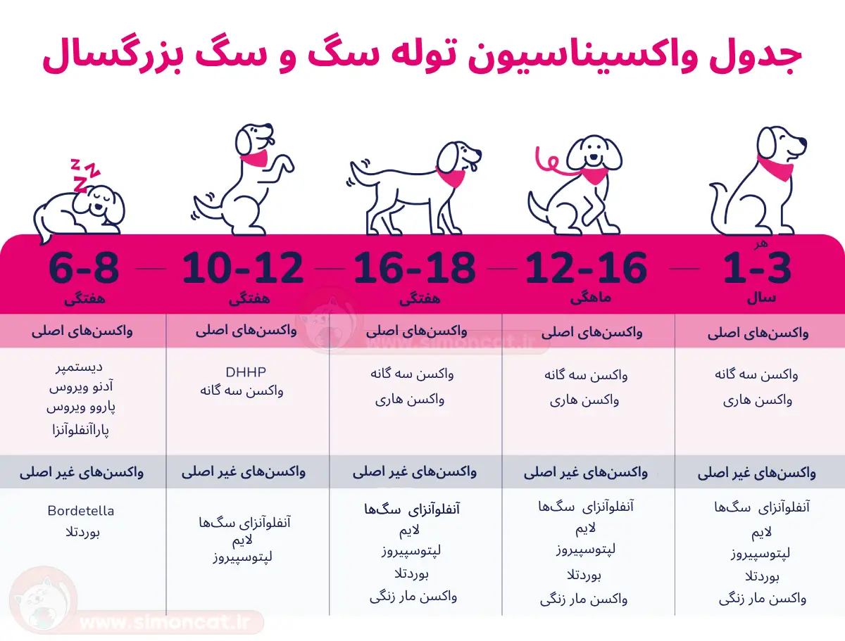 جدول واکسیناسیون سگ بالغ و توله سگ