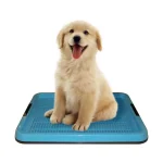 سینی بزرگ ادرار سگ