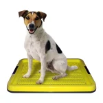 سینی کوچک ادرار