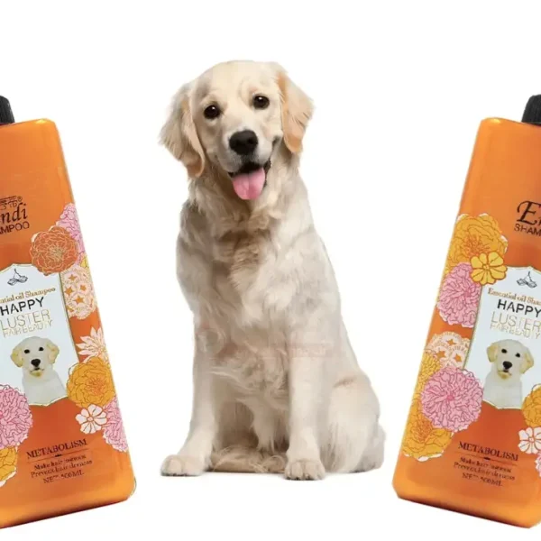 شامپو سگ اندی مناسب درخشندگی مو
