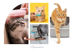 عکس وسایل گربه