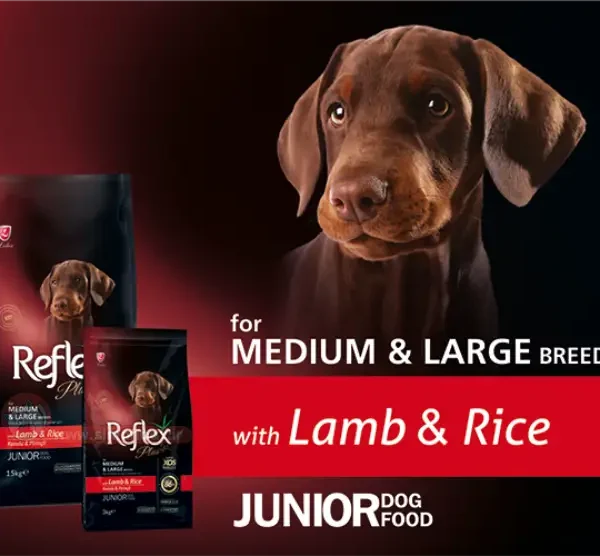 غذای خشک توله سگ رفلکس پلاس نژاد متوسط و بزرگ 3 کیلوگرم