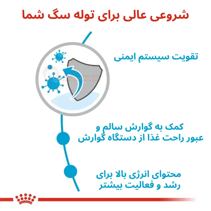 غذای خشک سگ ایکس اسمال پاپی رویال