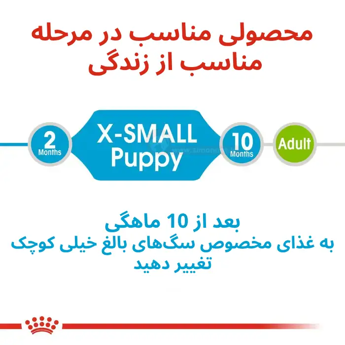 غذای خشک سگ رویال پاپی
