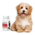 قرص ضد مدفوع خواری مخصوص سگ یوروپت 100 عددی