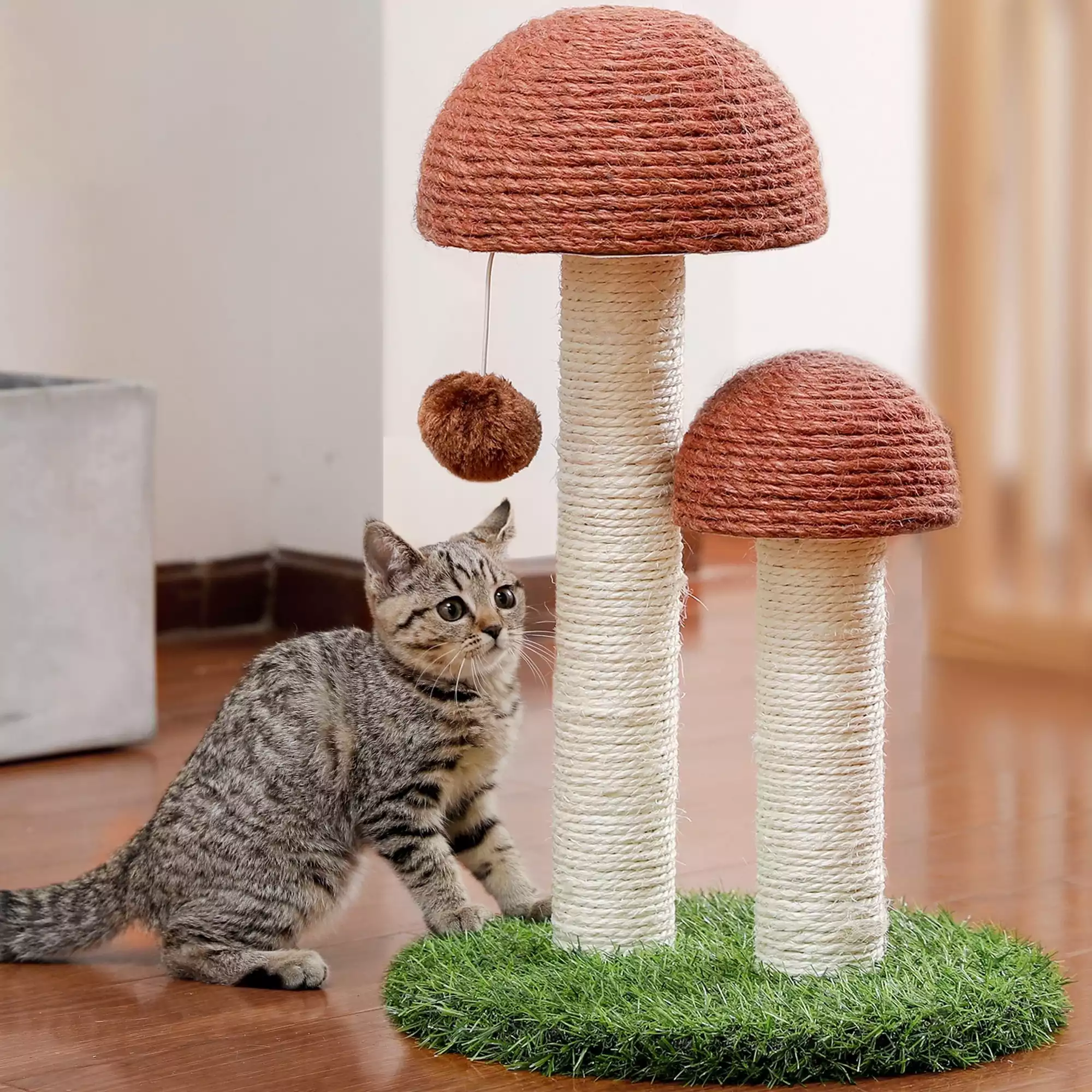 لوازم ضروری گربه